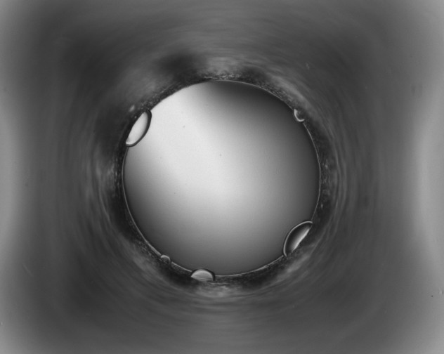 X0000085290597200703091412