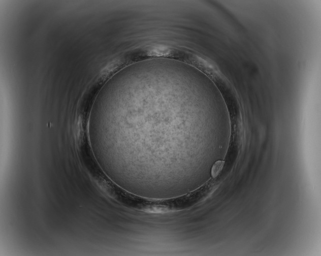 X0000085290598200703091412