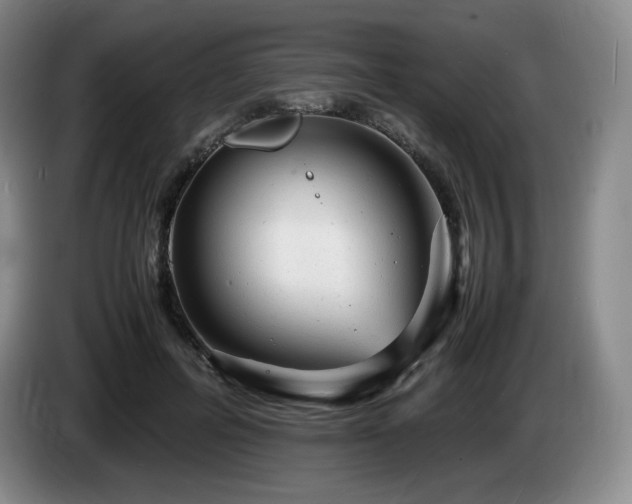 X0000085290600200703091411