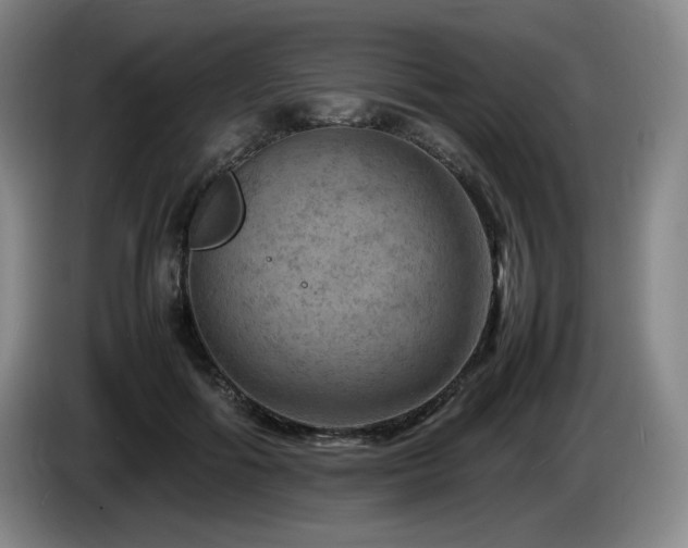 X0000085290602200703091411