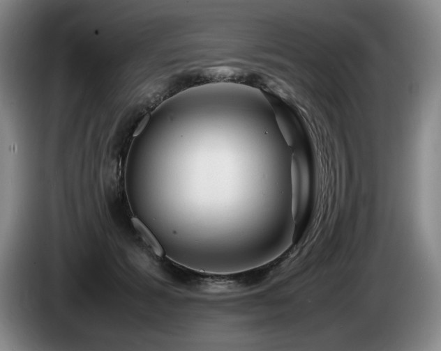 X0000085290605200703091411