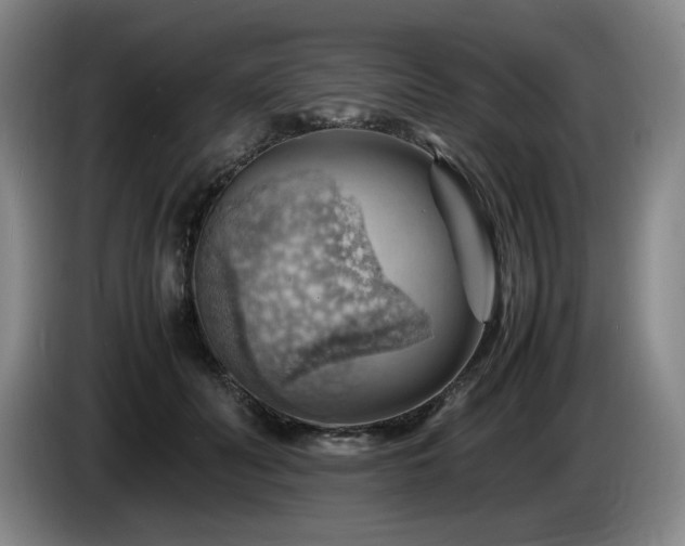 X0000085290606200703091411