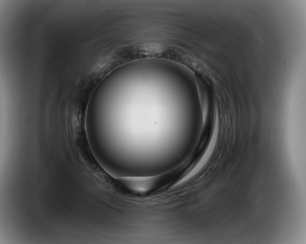 X0000085290608200703091411