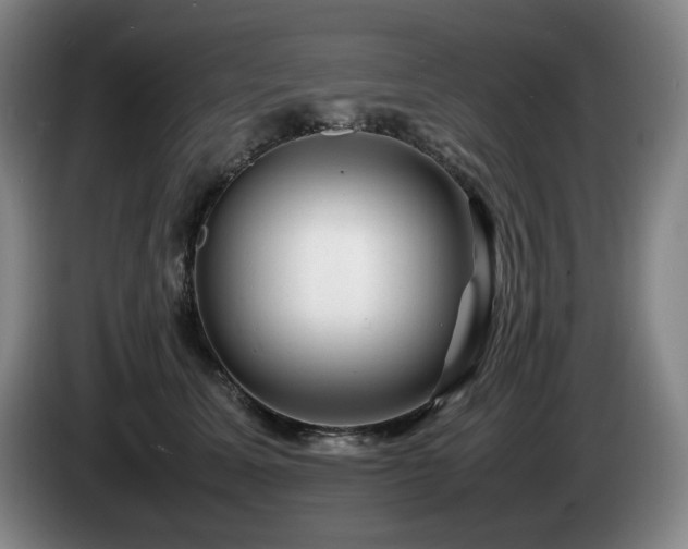 X0000085290611200703091411
