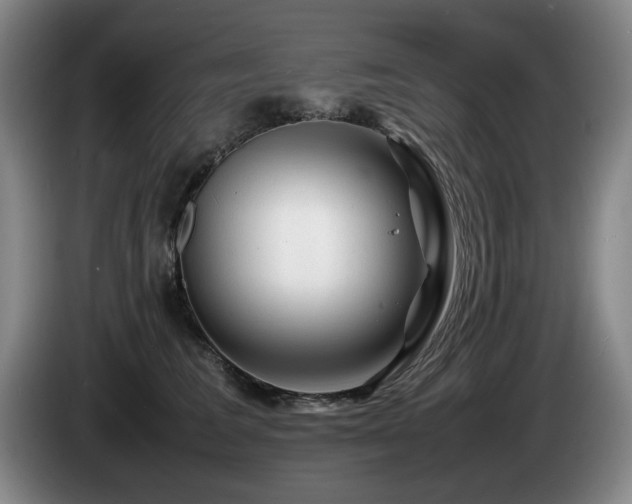 X0000085290613200703091411