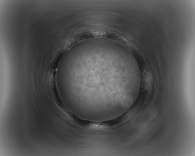 X0000085290614200703091411