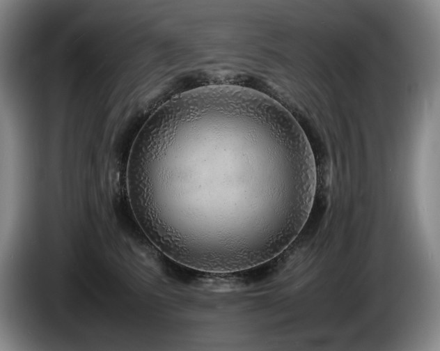 X0000085290615200703091411