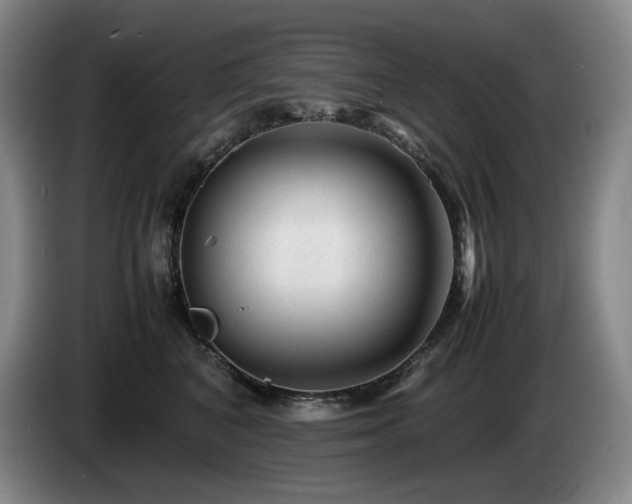X0000085290616200703091411
