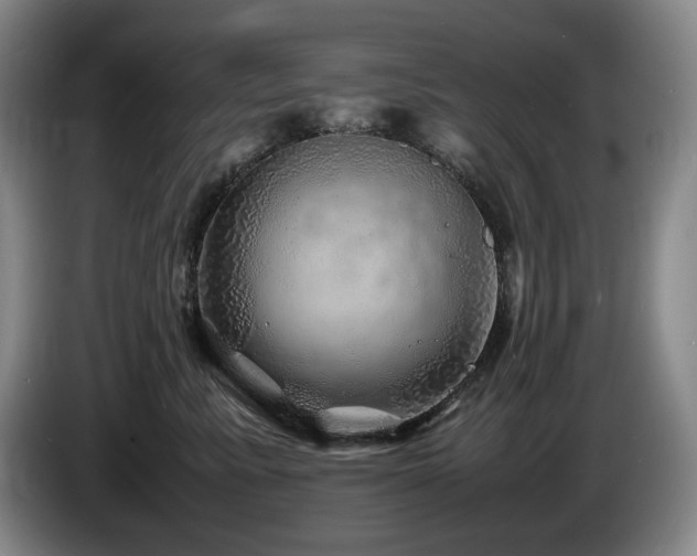 X0000085290619200703091411
