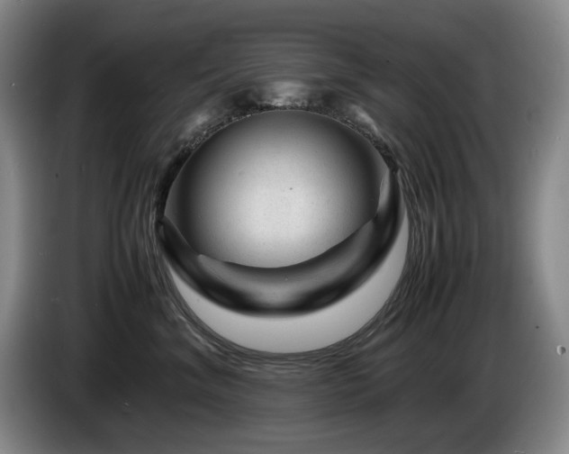 X0000085290620200703091411