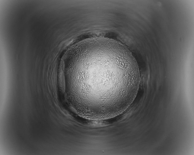 X0000085290623200703091411