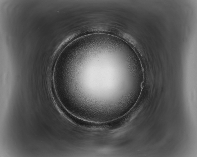 X0000085290625200703091411