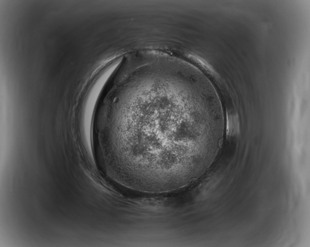 X0000085290627200703091411