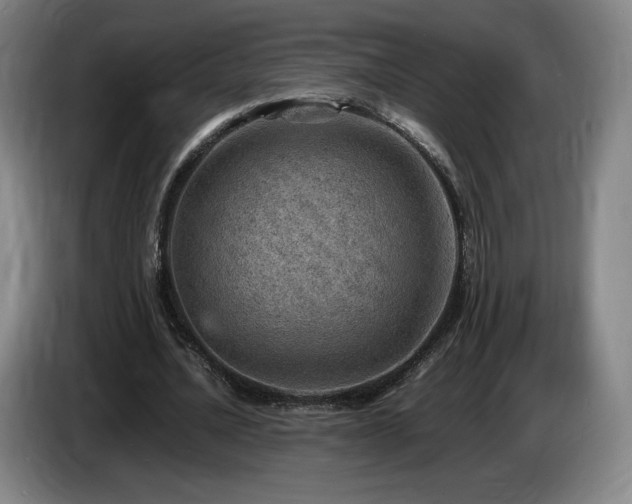 X0000085290628200703091411