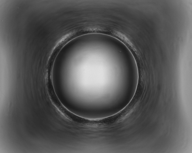 X0000085290629200703091411