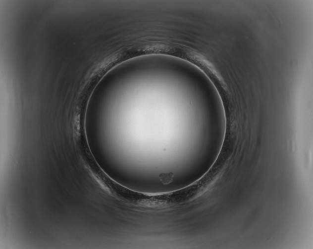 X0000085290633200703091411