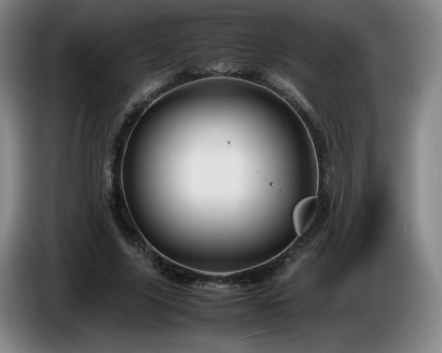 X0000085290635200703091411