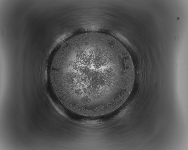 X0000085290638200703091411