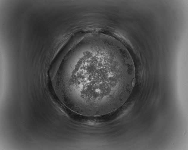 X0000085290641200703091411