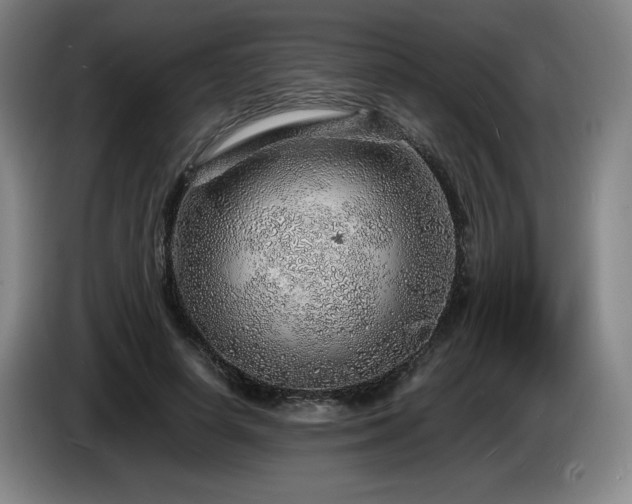 X0000085290642200703091411