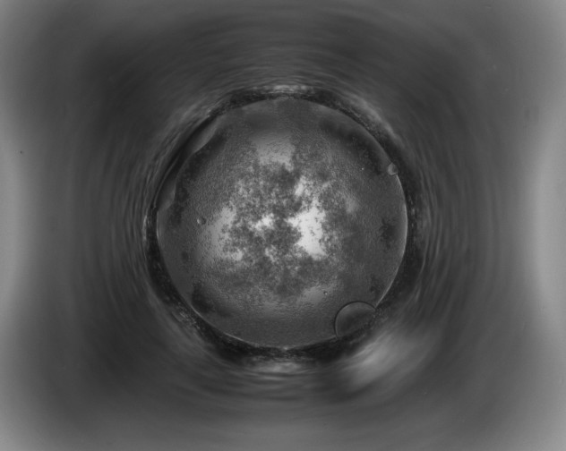 X0000085290643200703091411