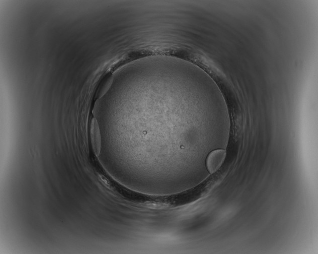 X0000085290644200703091411