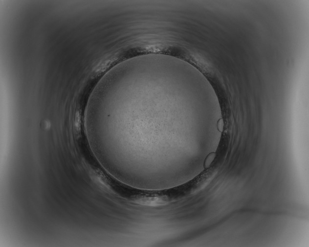 X0000085290646200703091411