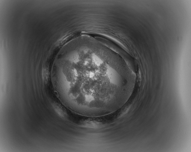 X0000085290648200703091411