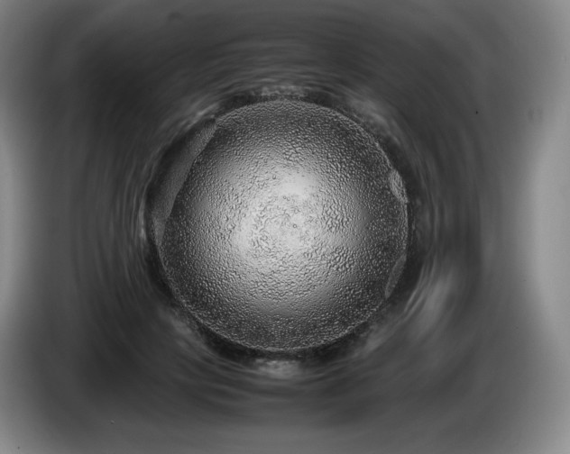 X0000085290649200703091411