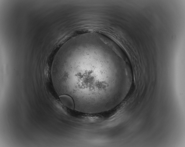 X0000085290650200703091411