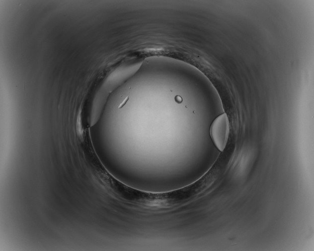 X0000085290651200703091411