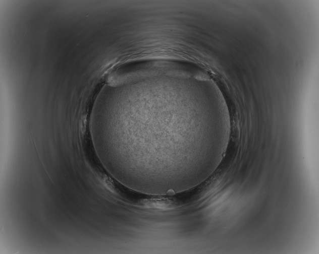 X0000085290652200703091411