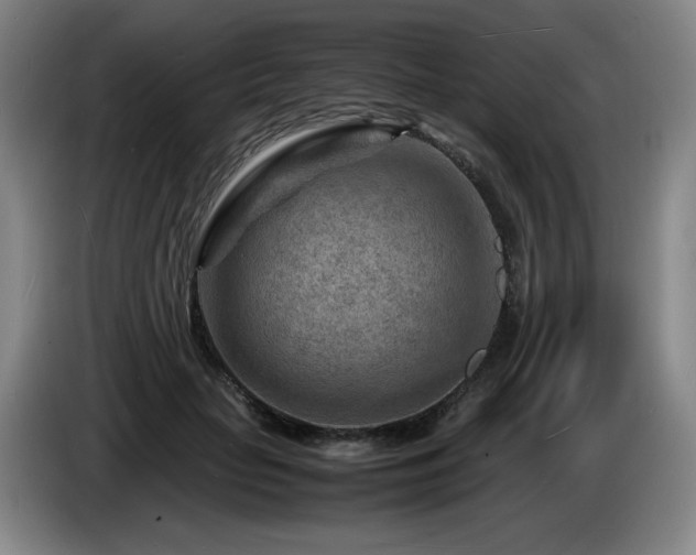 X0000085290653200703091411