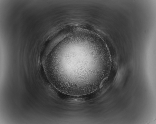 X0000085290657200703091411