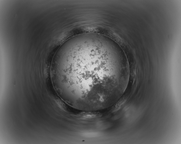 X0000085290658200703091411