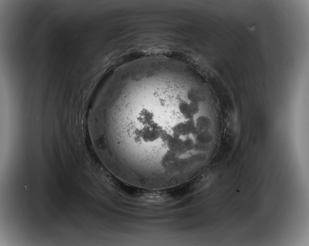 X0000085290659200703091411