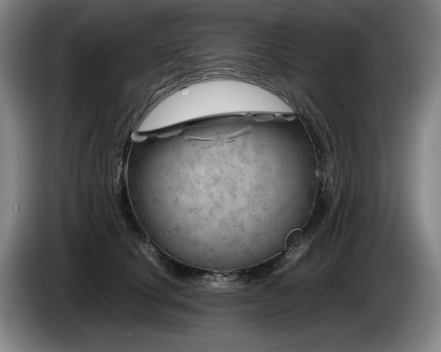 X0000085290660200703091411