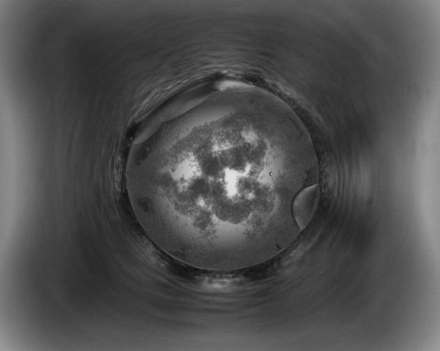 X0000085290661200703091411