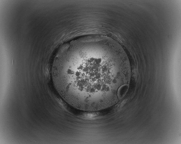 X0000085290662200703091411