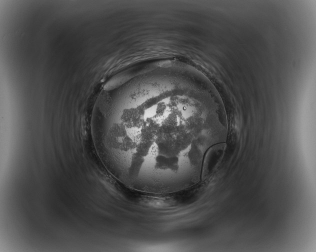 X0000085290663200703091411