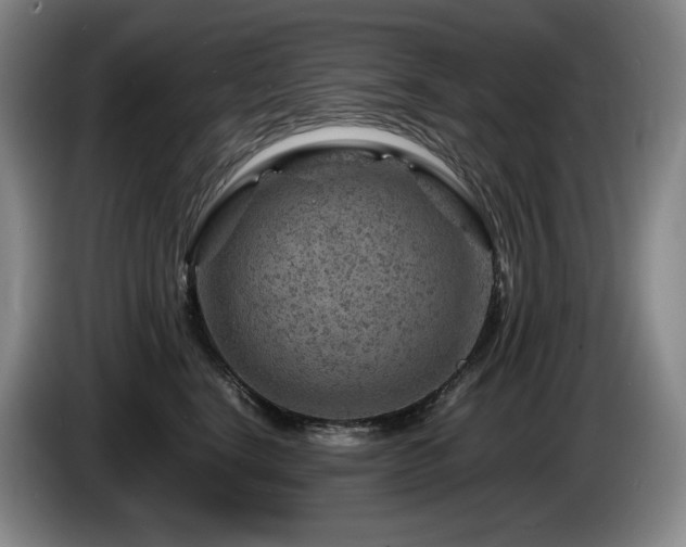 X0000085290664200703091411
