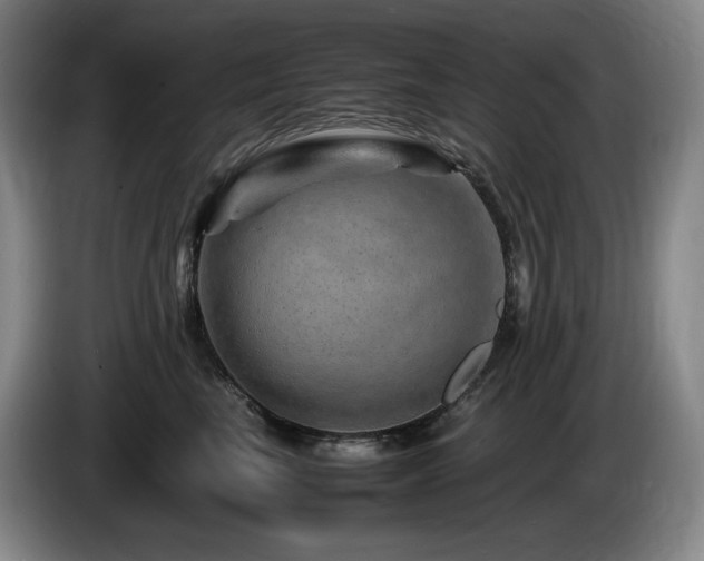 X0000085290665200703091411