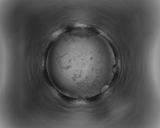 X0000085290668200703091411