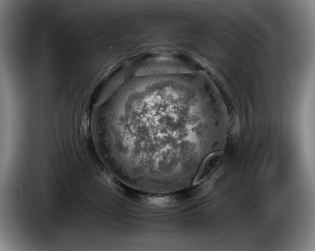 X0000085290669200703091411