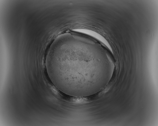 X0000085290670200703091411