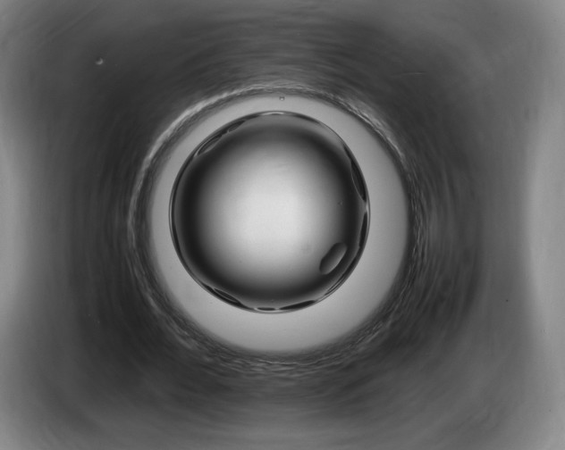 X0000085290676200703091410