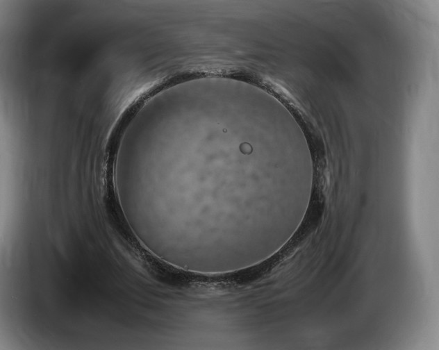 X0000085290679200703091410