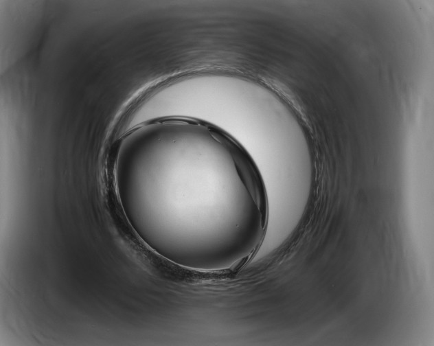 X0000085290680200703091410