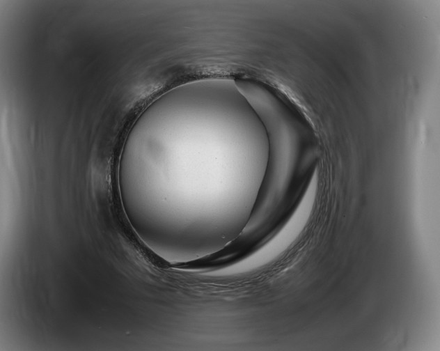 X0000085290681200703091410