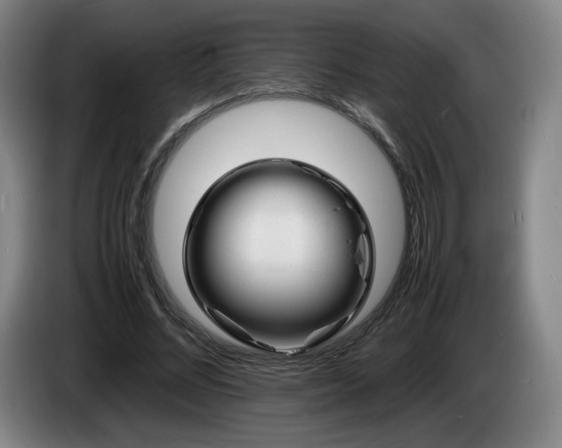 X0000085290684200703091410